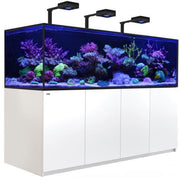 Saltwater Aquariums - Ocean Reefs Marine Aquariums