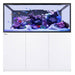 Red Sea Reefer S-700 G3 Aquarium System