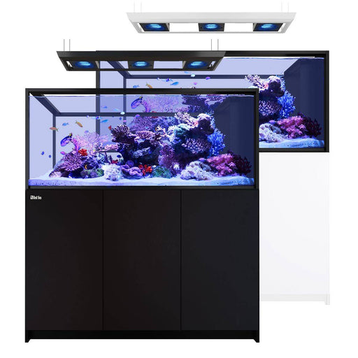 Red Sea Reefer Deluxe Peninsula S-700 G3 Aquarium System Incl 3 X Reefled 170