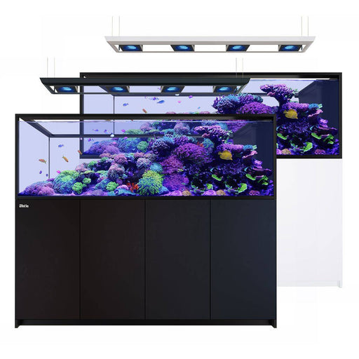 Red Sea Reefer Deluxe Peninsula S-950 G3 Aquarium System Incl 4 X Reefled 170