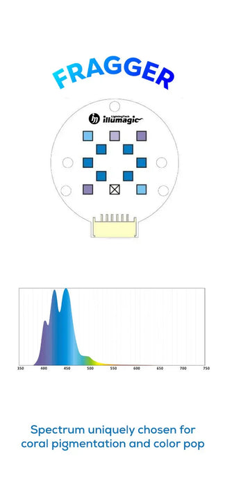 Illumagic Saltwater Pixel LED Light
