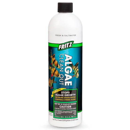 Fritz Algae Clean Out