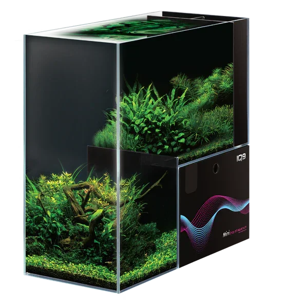 Dymax IQ9 Mini Drop-Off (48L)