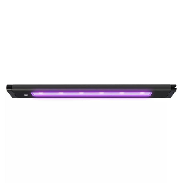 AI Blade Coral Glow - Ocean Reefs Marine Aquariums