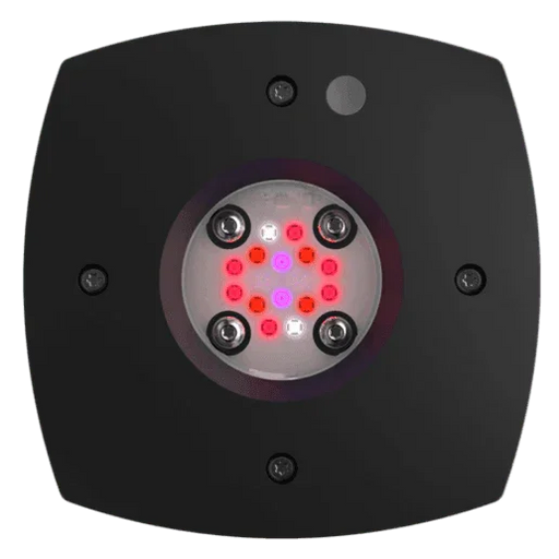 AI Prime Fuge 16HD Refugium LED Light - Ocean Reefs Marine Aquariums