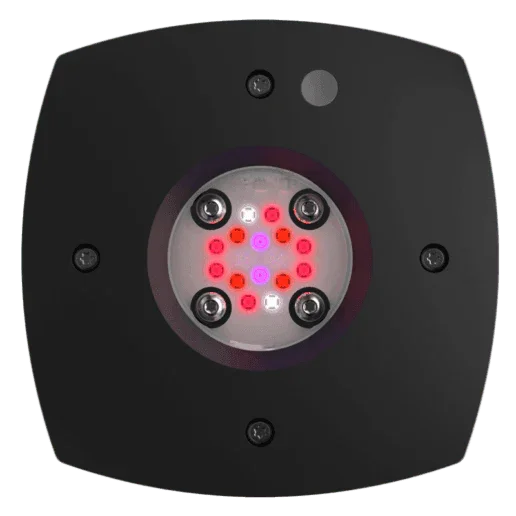AI Prime Fuge 16HD Refugium LED Light - Ocean Reefs Marine Aquariums