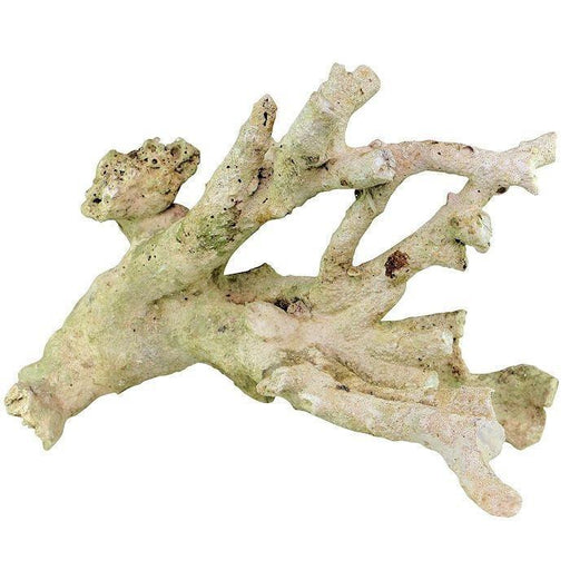 Base Rock - Ocean Reefs Marine Aquariums