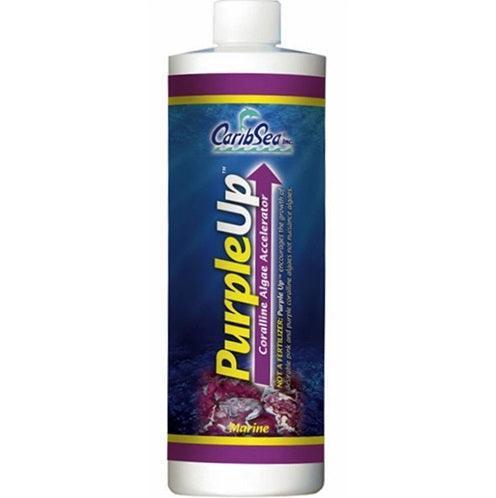 Carib Sea Purple Up - Ocean Reefs Marine Aquariums