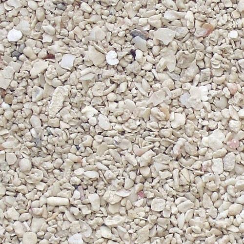 CaribSea Arag-Alive Special Grade Live Sand 20lb - Ocean Reefs Marine Aquariums