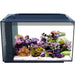 Fluval EVO 52L (13.5 Gallon) Nano Marine Tank - Ocean Reefs Marine Aquariums