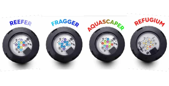 Illumagic Saltwater Pixel LED Light