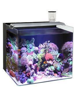 Ocean Free Nano Marine Aquarium - 63 Litre - Ocean Reefs Marine Aquariums