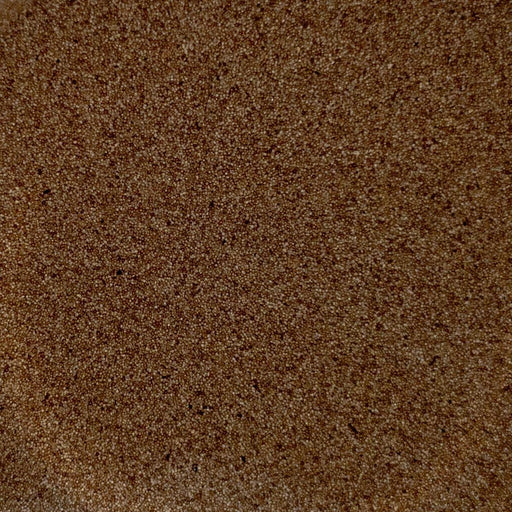 ORMA Brine shrimp Eggs - Ocean Reefs Marine Aquariums