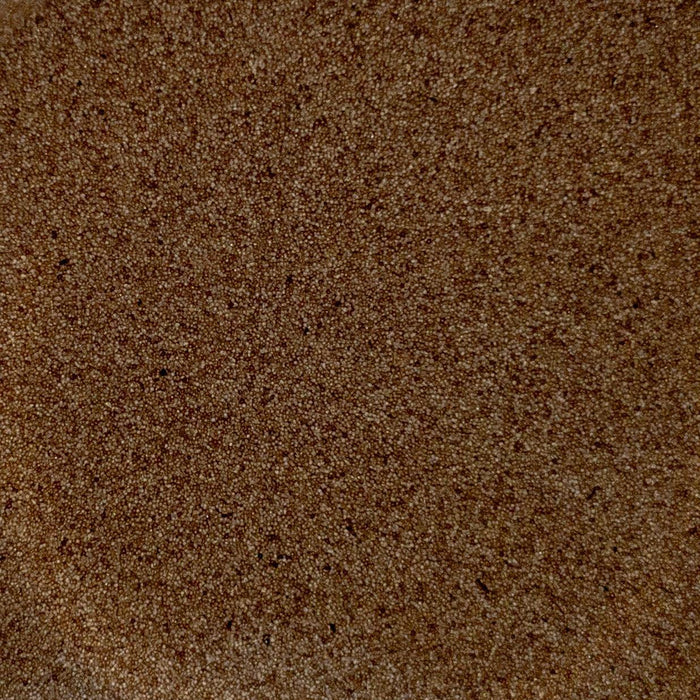 ORMA Brine shrimp Eggs - Ocean Reefs Marine Aquariums