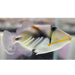 Picasso trigger - Ocean Reefs Marine Aquariums