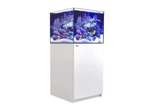 Red Sea Reefer 200 G2+ - Ocean Reefs Marine Aquariums