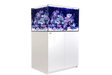 Red Sea Reefer 300 G2+ - Ocean Reefs Marine Aquariums