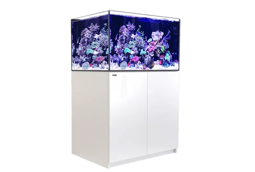 Red Sea Reefer 300 G2+ - Ocean Reefs Marine Aquariums
