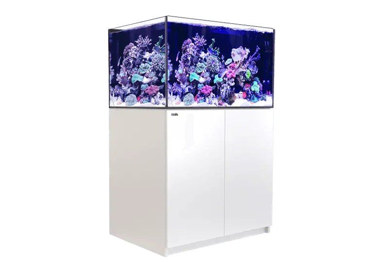 Red Sea Reefer 300 G2+ - Ocean Reefs Marine Aquariums