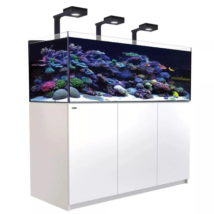 Red Sea Reefer Max 525 G2+ - Ocean Reefs Marine Aquariums