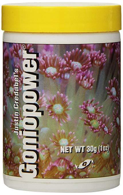 Two Little Fishies Goniopower - Ocean Reefs Marine Aquariums