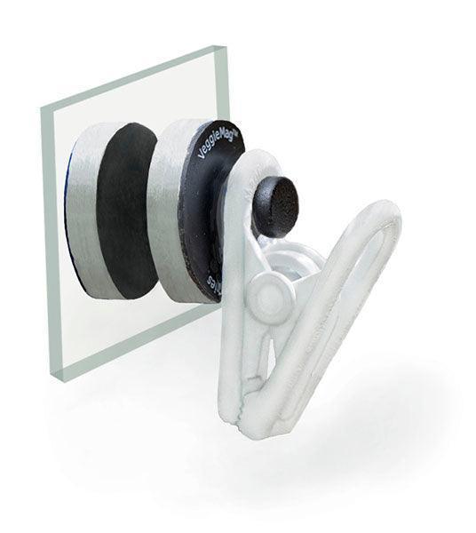 Two Little Fishies VeggieMag - Ocean Reefs Marine Aquariums